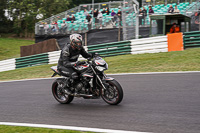 Lower Group Silver_Grey Bikes